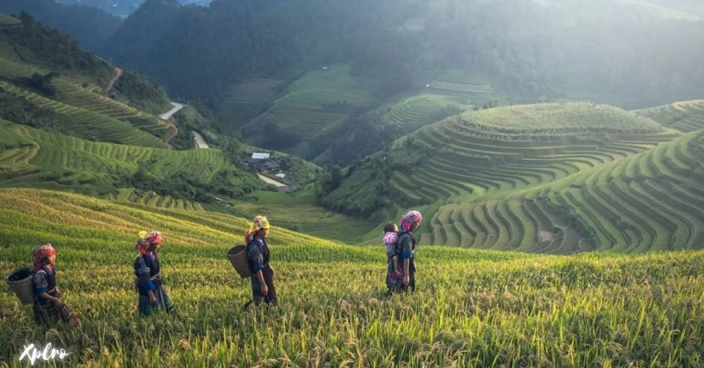 Trek Through Chiang Mai’s Hill Tribes, Xplro