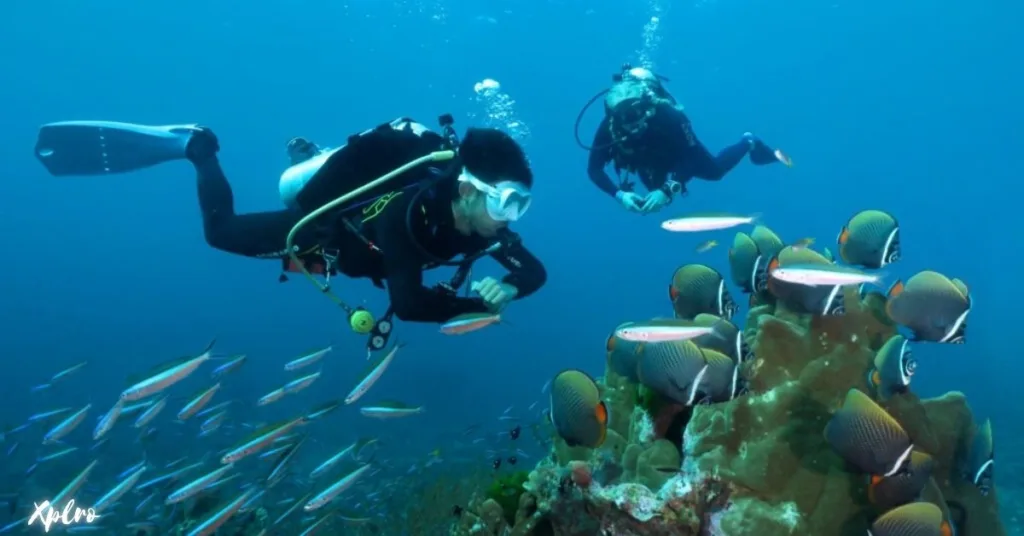 Dive in the Similan Islands, Xplro