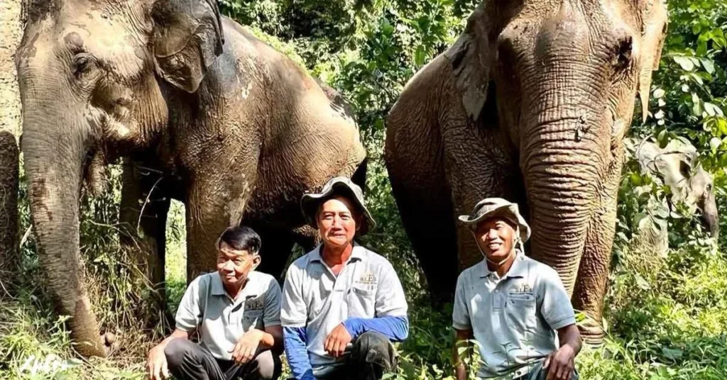  Boon Lott’s Elephant Sanctuary (Sukhothai), Xplro