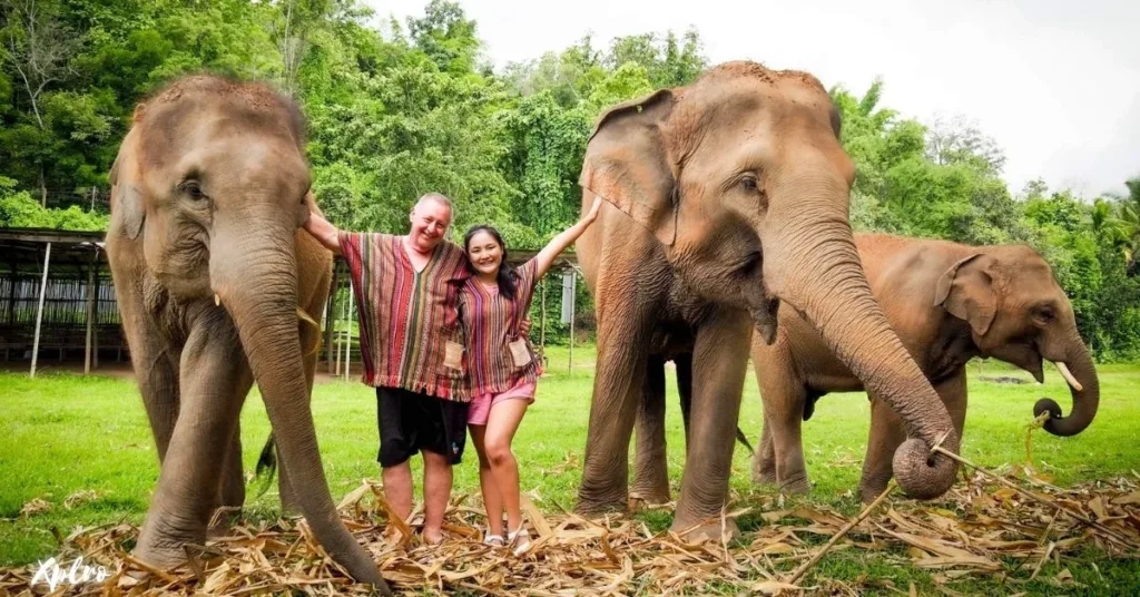 Elephant Jungle Sanctuary (Chiang Mai and Pattaya), Xplro