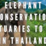 Elephant Conservation Sanctuaries to Visit in Thailand