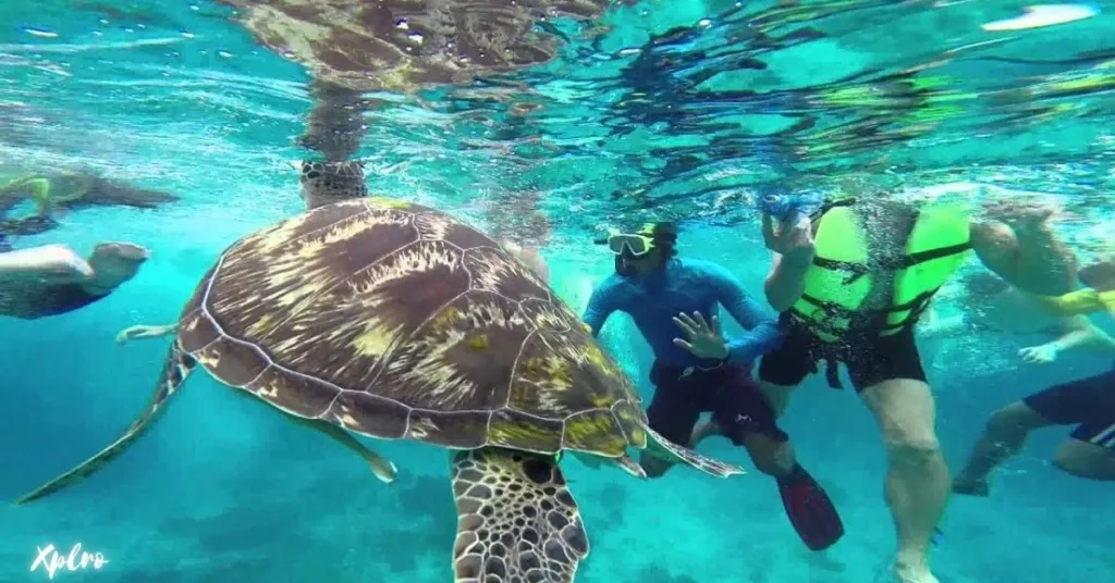 Similan Islands, Xplro