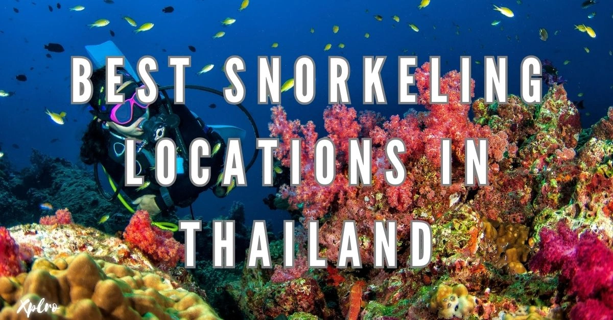 Best Snorkeling Locations in Thailand