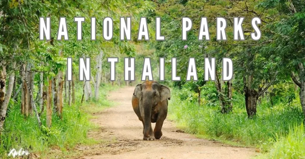 Top 10 National Parks in Thailand You Must Visit