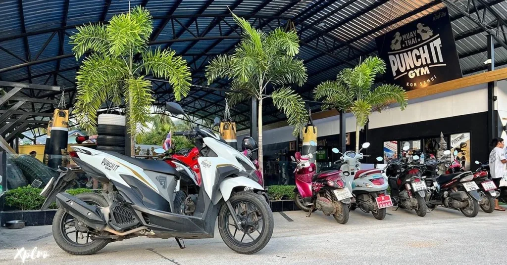 Motorbike Rentals: Freedom on a Budget, Xplro