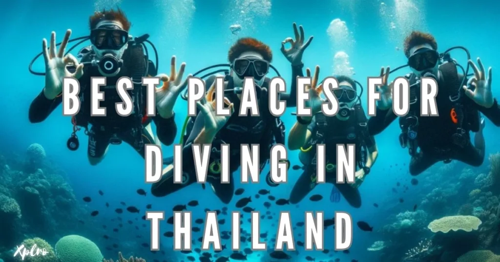 Best Places for Diving in Thailand: From Koh Tao to the Similan Islands