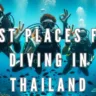 Best Places for Diving in Thailand, Xplro