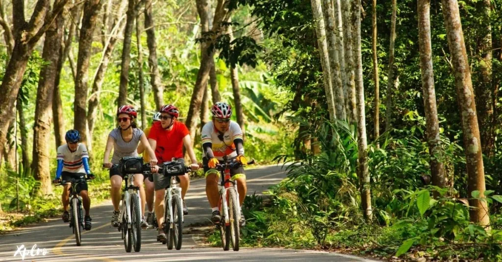 Phuket Coastal Roads, Xplro