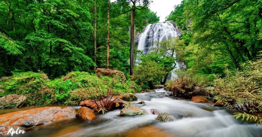 Khlong Lan Waterfall, Kamphaeng Phet, Xplro