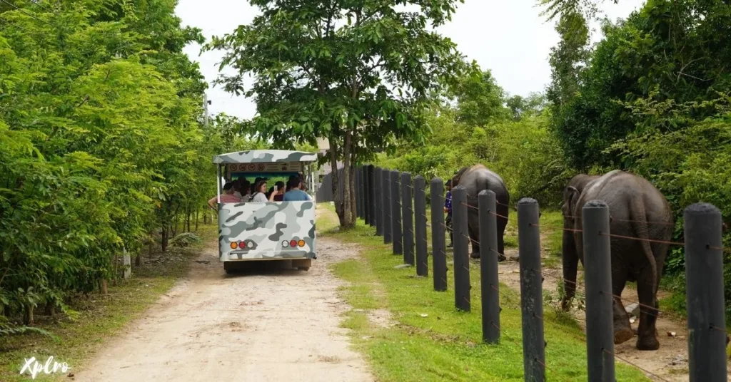 Wildlife Friends Foundation Thailand (Phetchaburi), Xplro