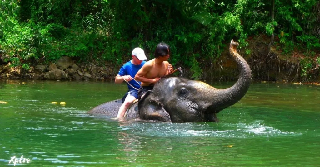 Xplro, Ko Chang Elephant Sanctuary (Ko Chang)