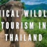Ethical Wildlife Tourism in Thailand