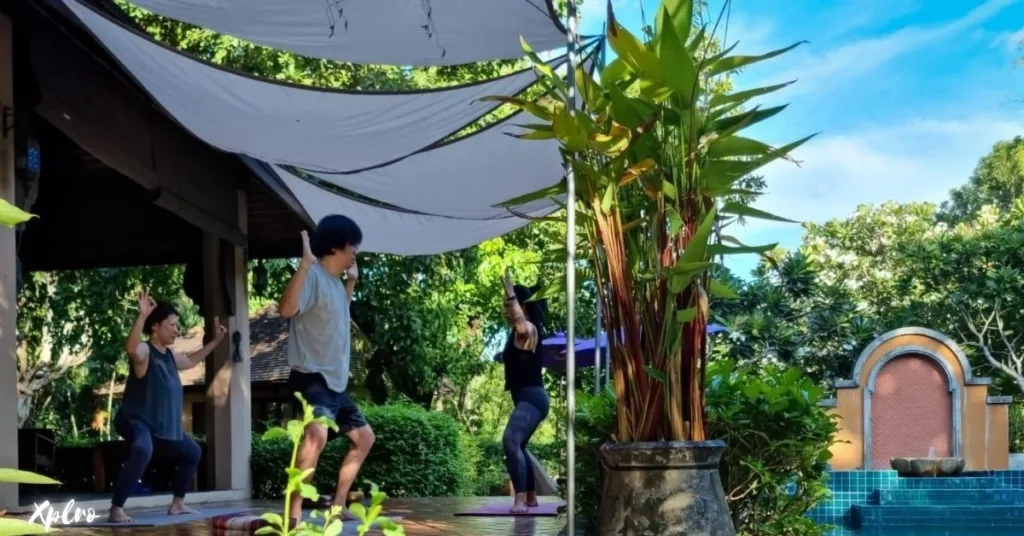 The Yoga Tree – Chiang Mai, Xplro