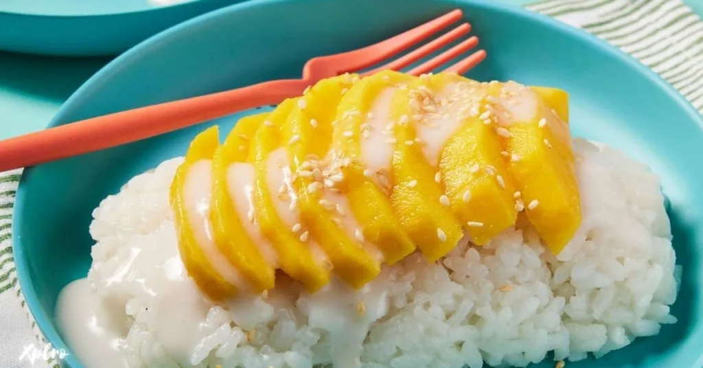 Mango Sticky Rice, Xplro