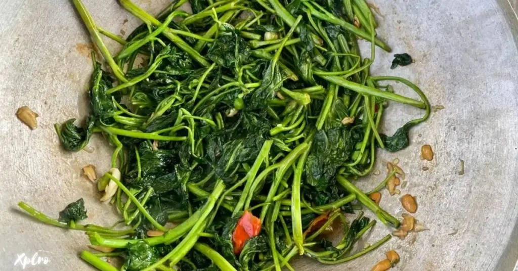 Stir-Fried Morning Glory (Pad Pak Boong), Xplro