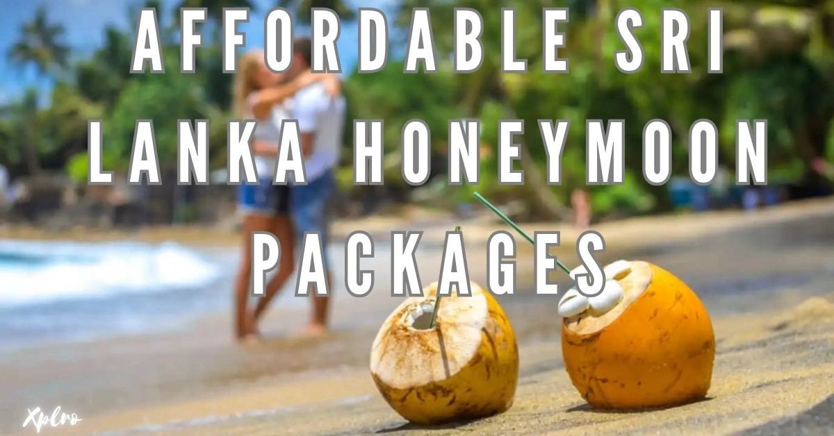 Affordable Sri Lanka Honeymoon Packages