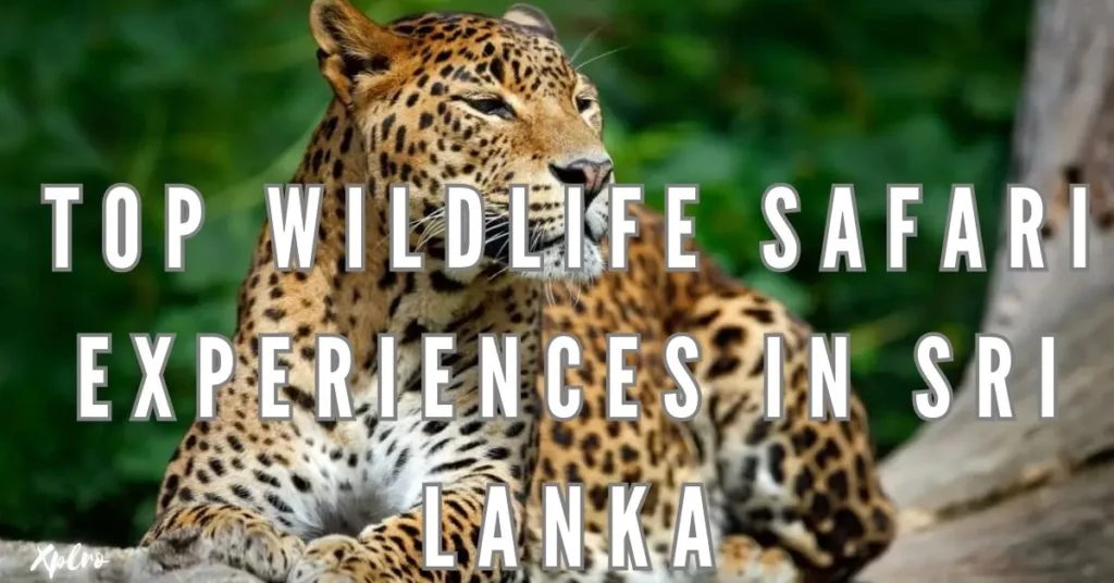 Best Wildlife Safari Experiences in Sri Lanka for Indian Travelers