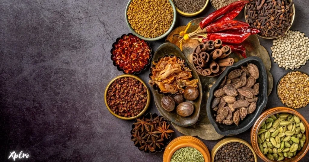 Spices, Xplro