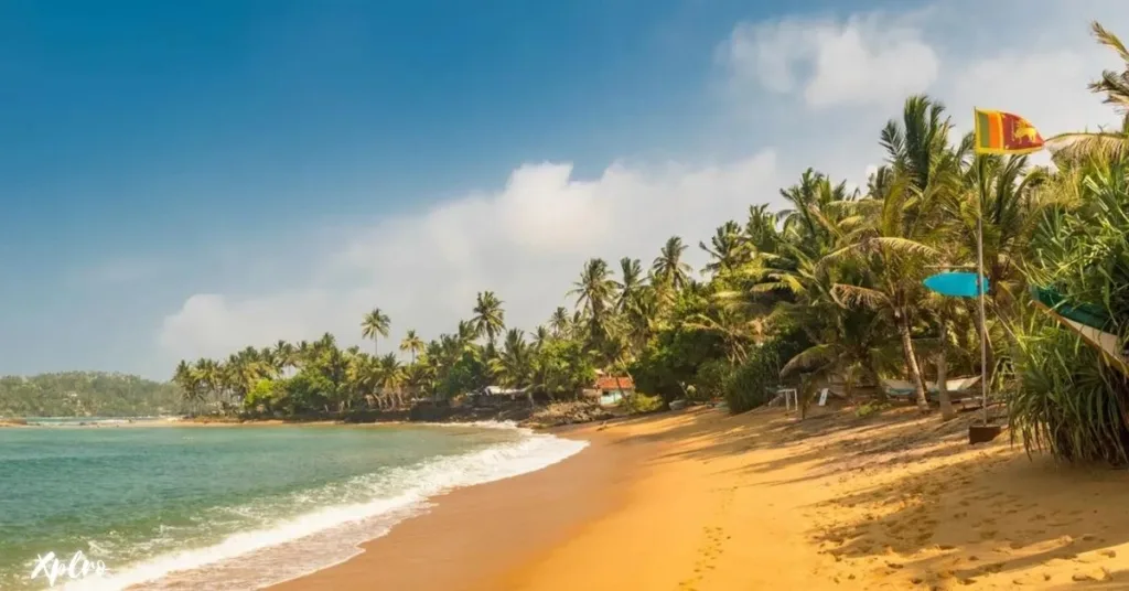 Negombo Beach, Xplro