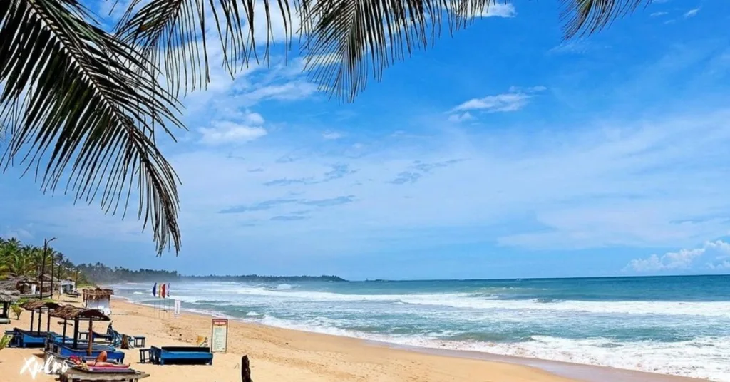 Top Sri Lanka Beaches Loved by Indian Travelers