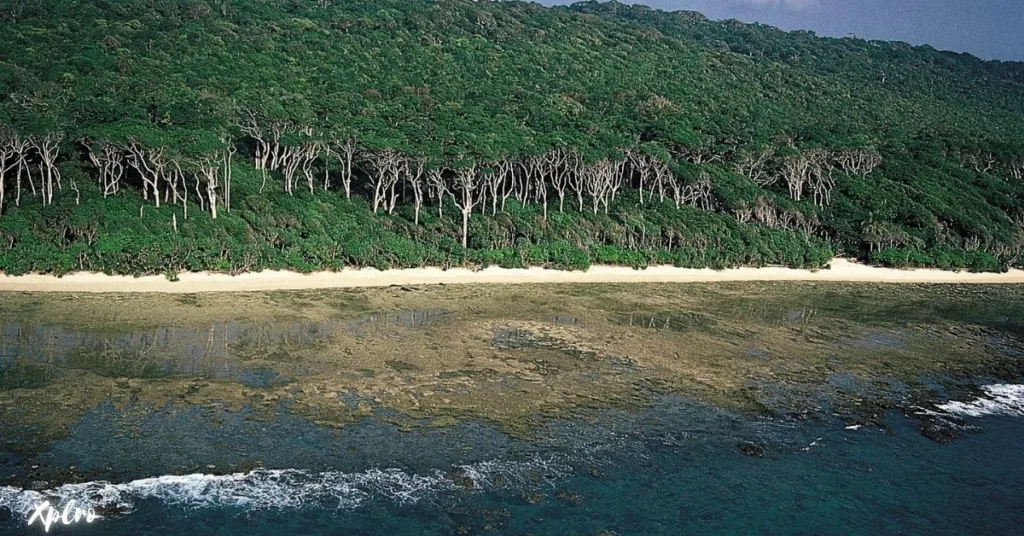 The Andaman Islands, Xplro