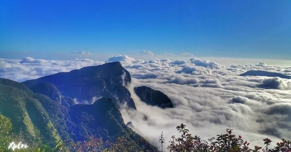 Trek through the Knuckles Mountain Range, Xplro