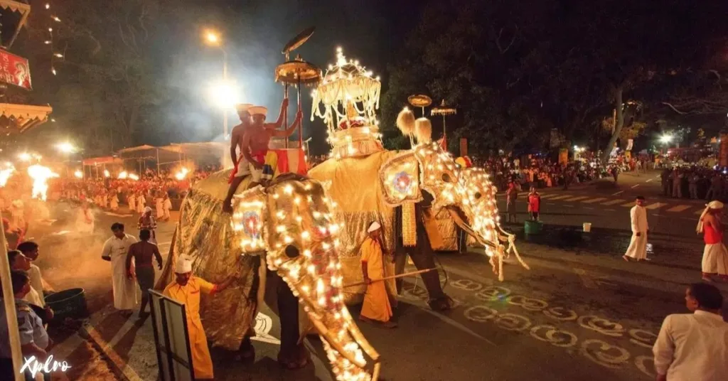 Kandy Esala Perahera, Xplro