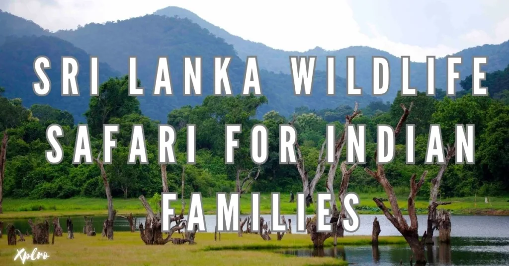 Sri Lanka Wildlife Safari for Indian Families: A Guide to the Best Spots