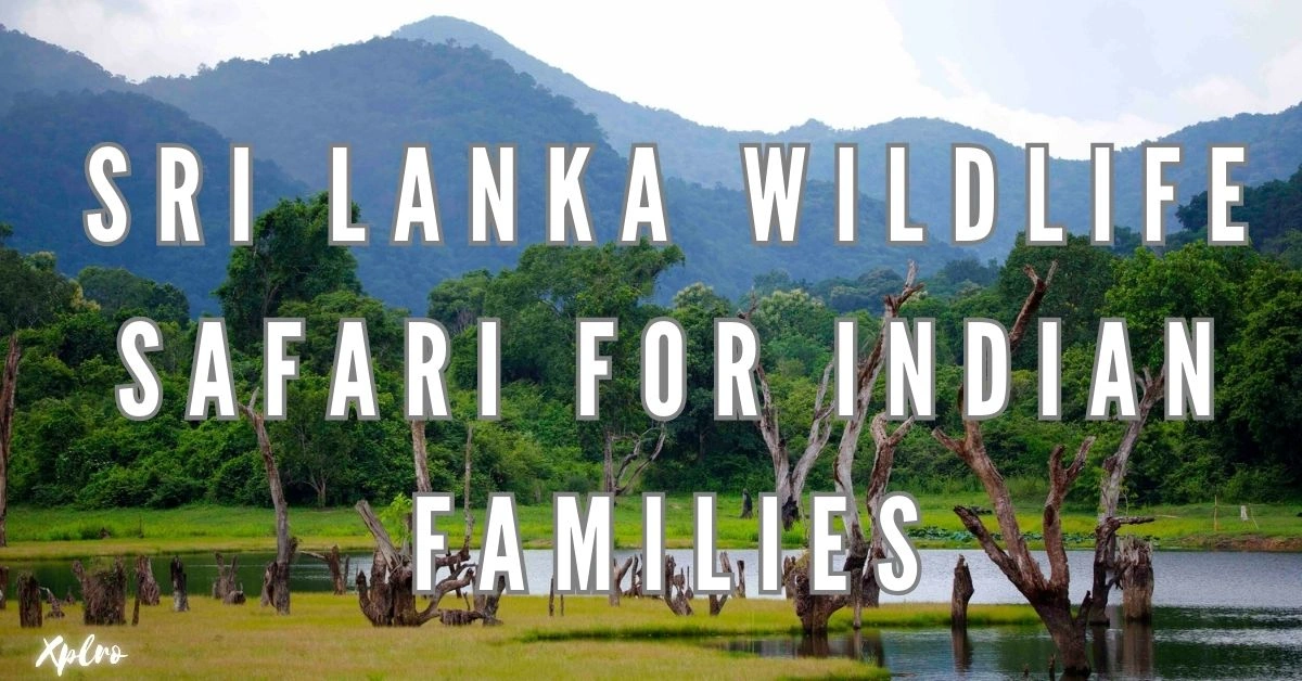 Sri Lanka Wildlife Safari for Indian Families