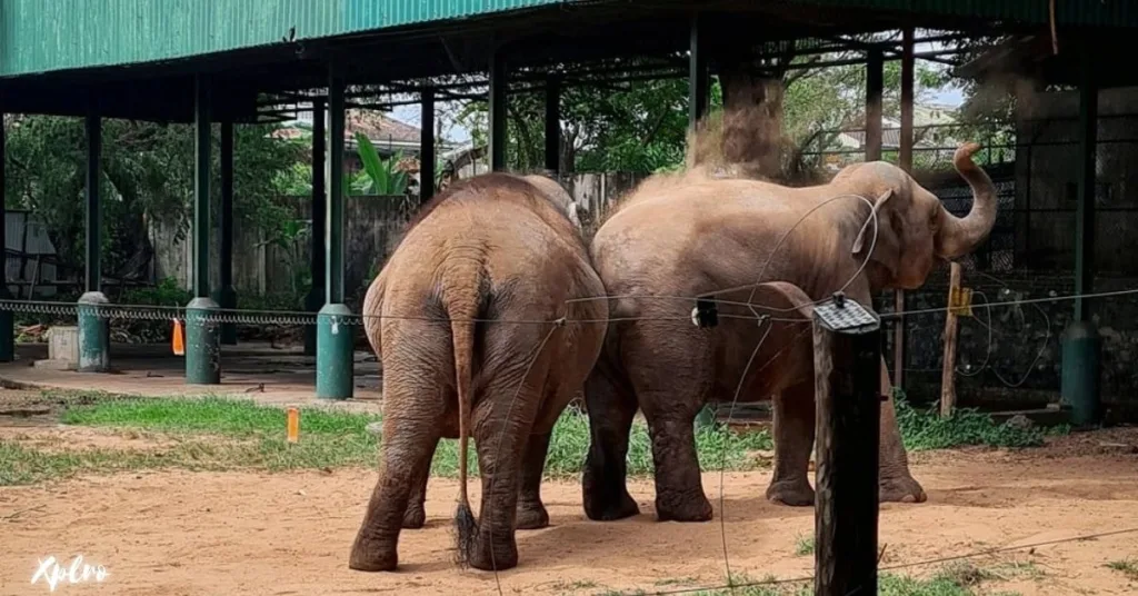 Dehiwala Zoo, Xplro