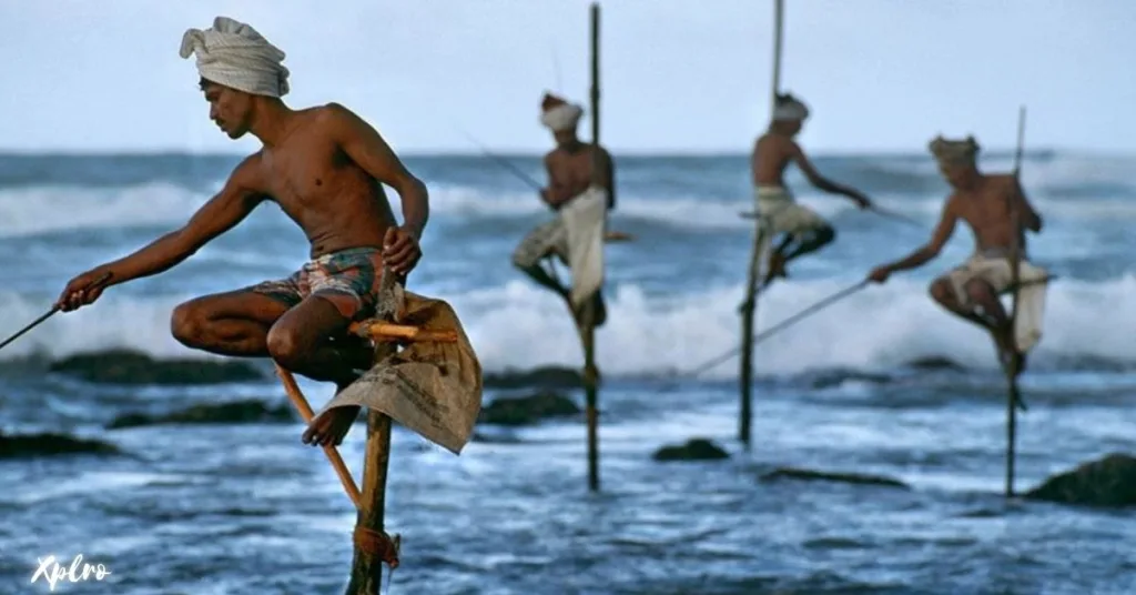 Stilt Fishing, Xplro