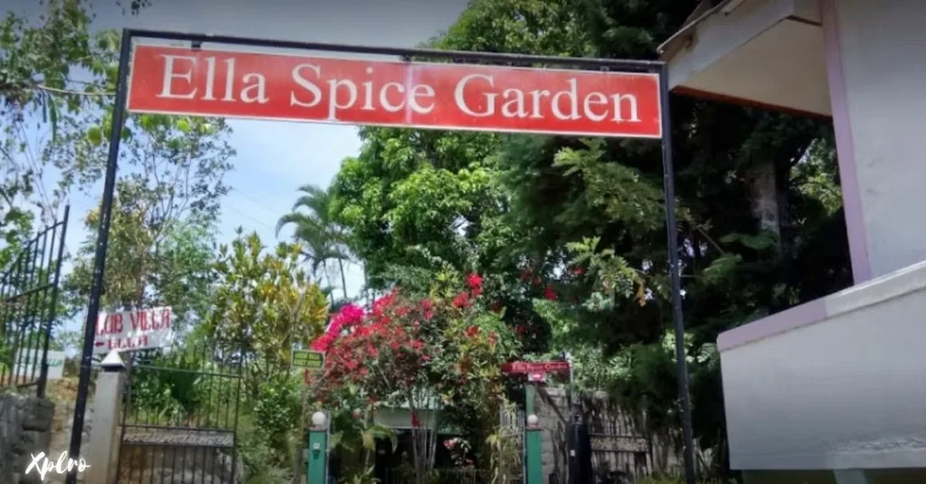 Ella Spice Garden, Xplro