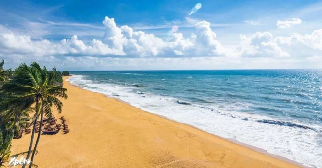 Mount Lavinia Beach, Xplro