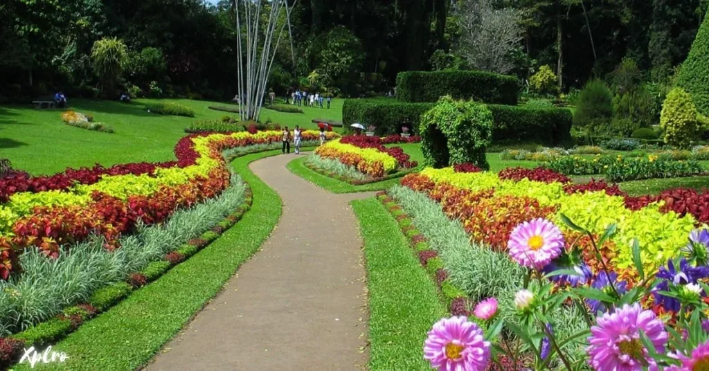 Royal Botanical Gardens, Peradeniya, Xplro