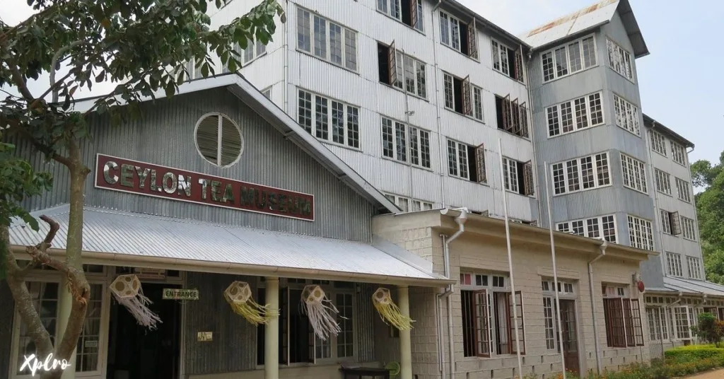 Ceylon Tea Museum, Xplro