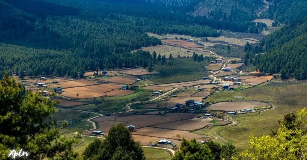 Phobjikha Valley, Xplro