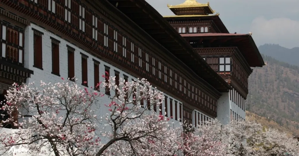 Spring (March to May): Bhutan in Bloom, Xplro