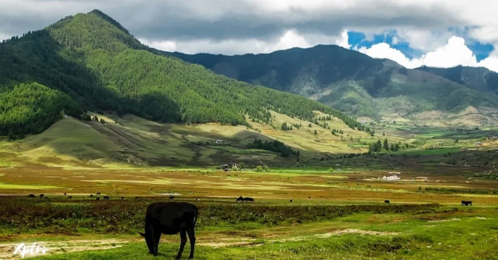 Phobjikha Valley (Gangtey), Xplro