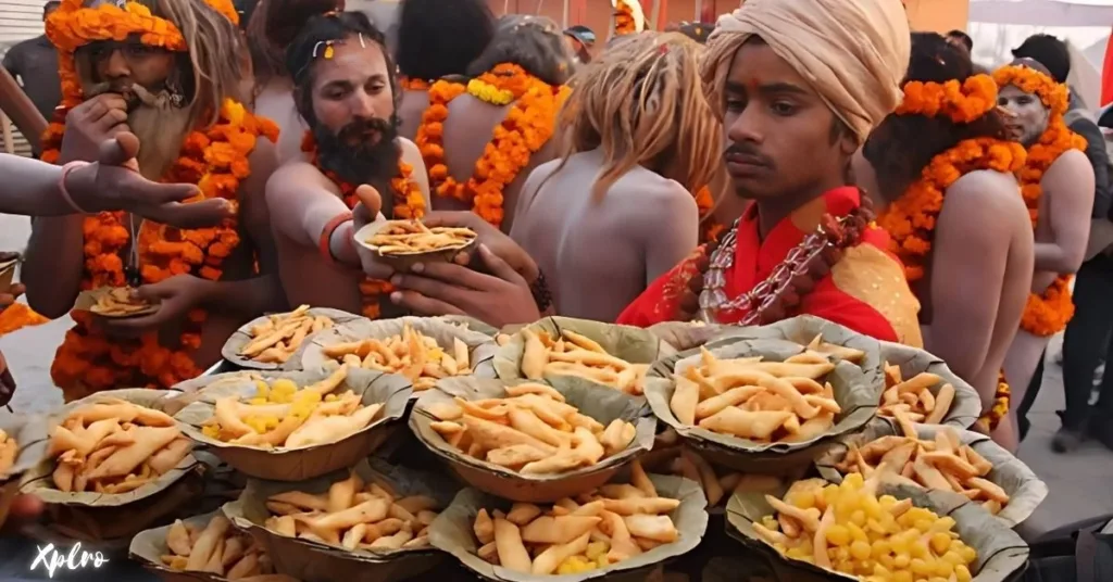 Delicious Food in Kumbh, Prayagraj