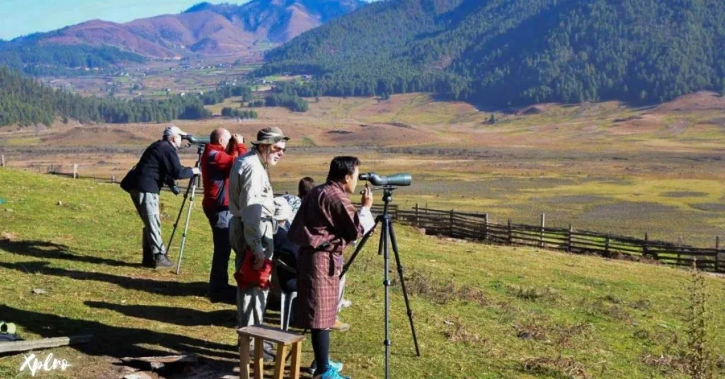 Birdwatching at Phobjikha Valley, Xplro