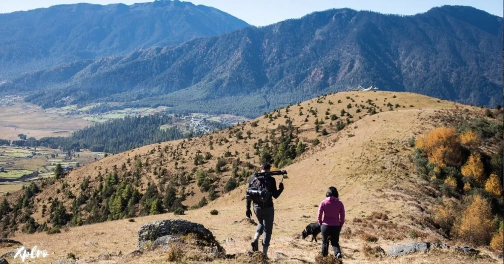 Hike to Gangtey (Phobjikha) Valley, Xplro