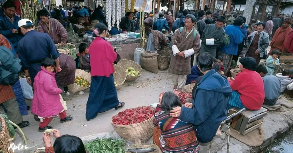 Local Markets, Xplro