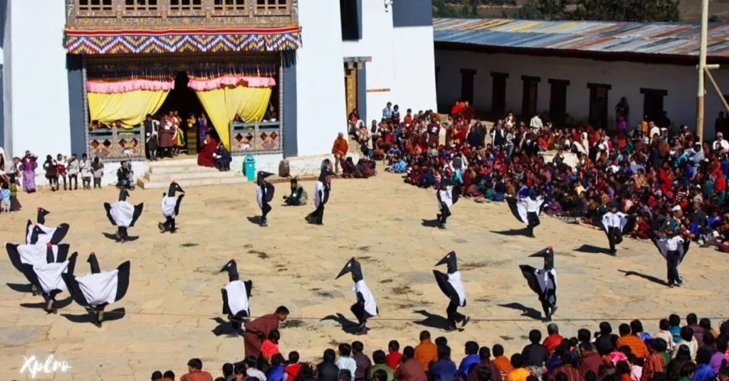 Black-Necked Crane Festival, Xplro