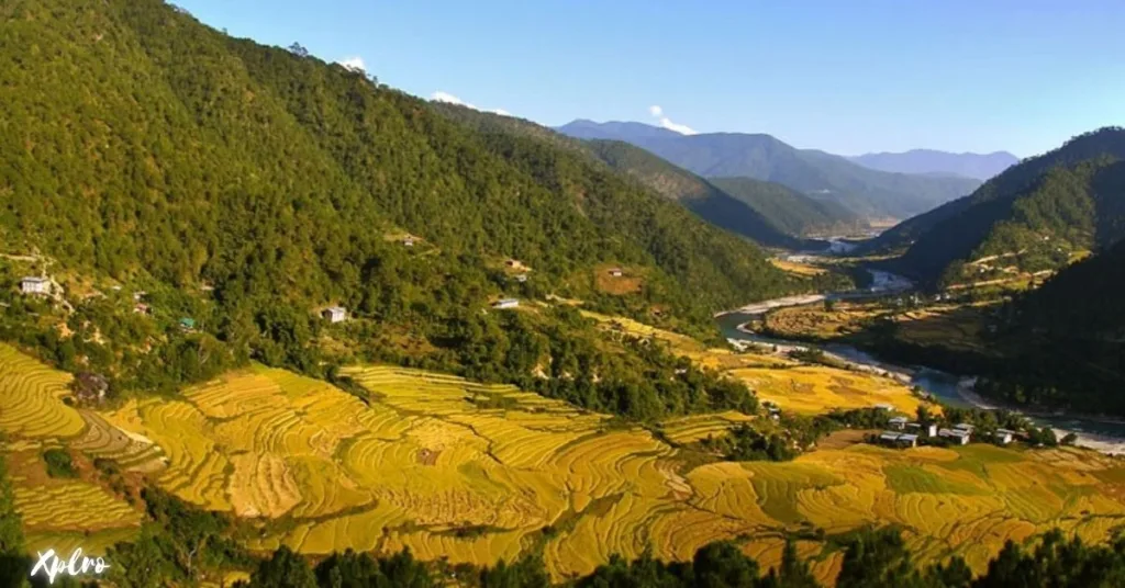 Punakha Winter Trek