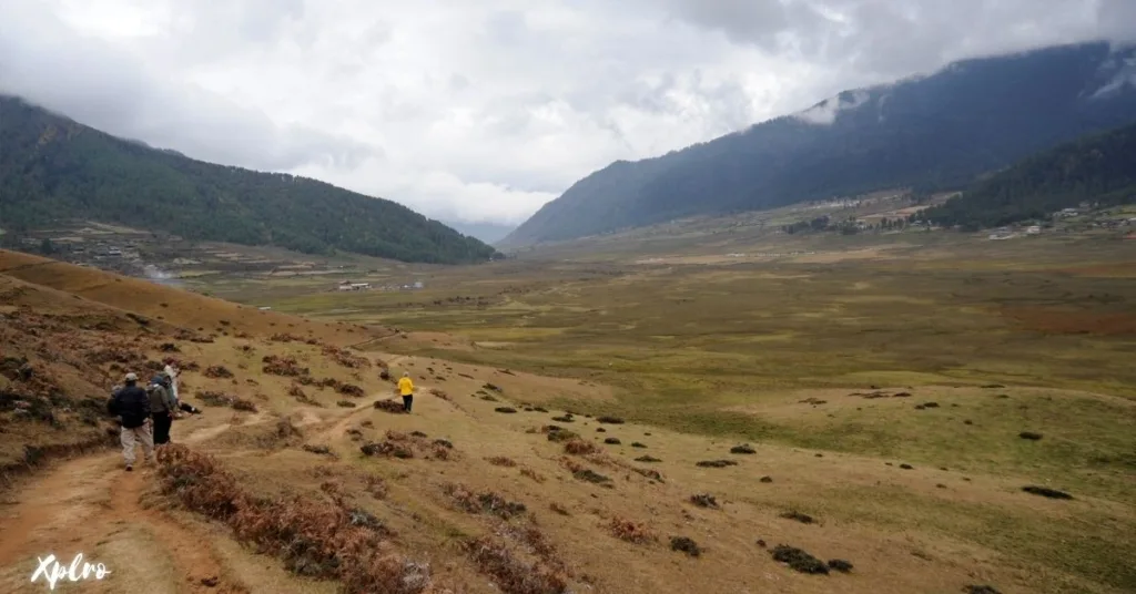  Gangtey Nature Trek, Xplro