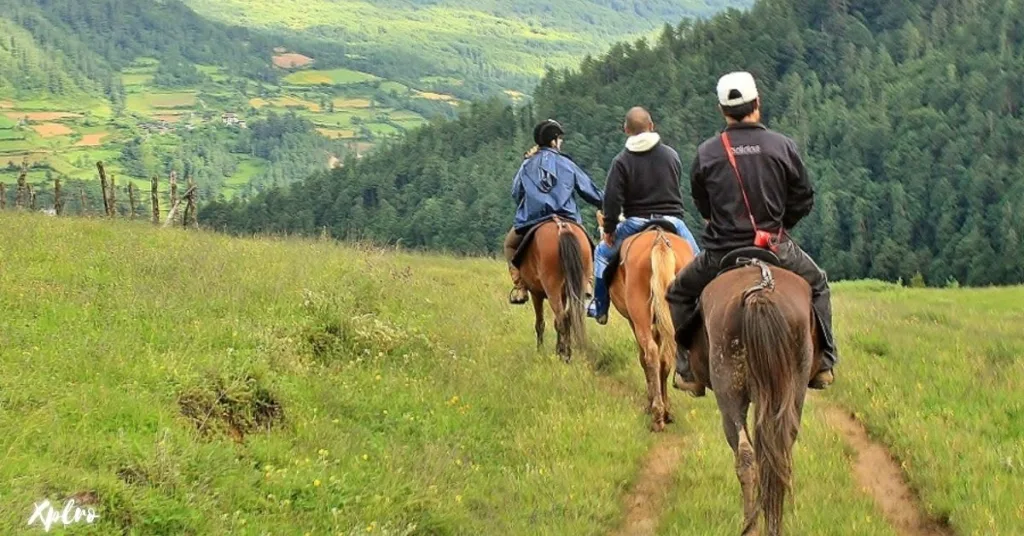 Horse Riding: A Unique Way to Explore Bhutan, Xplro