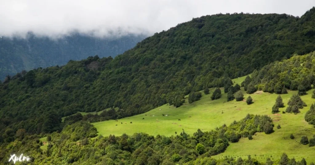 Sakteng Wildlife Sanctuary, Xplro