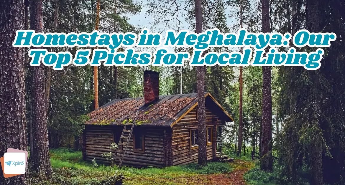 Homestays in Meghalaya: Our Top 5 Picks for Local Living