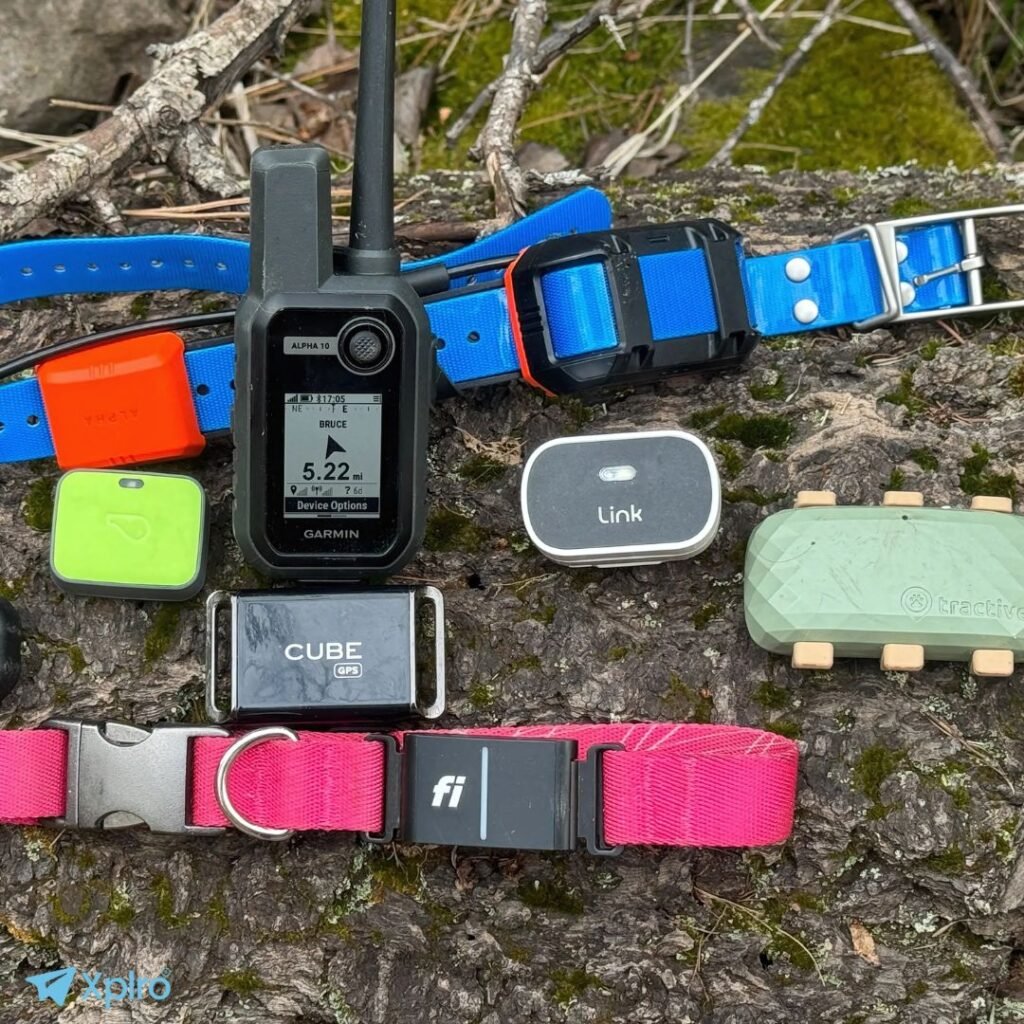 Safety-First Solo Travel, Xplro