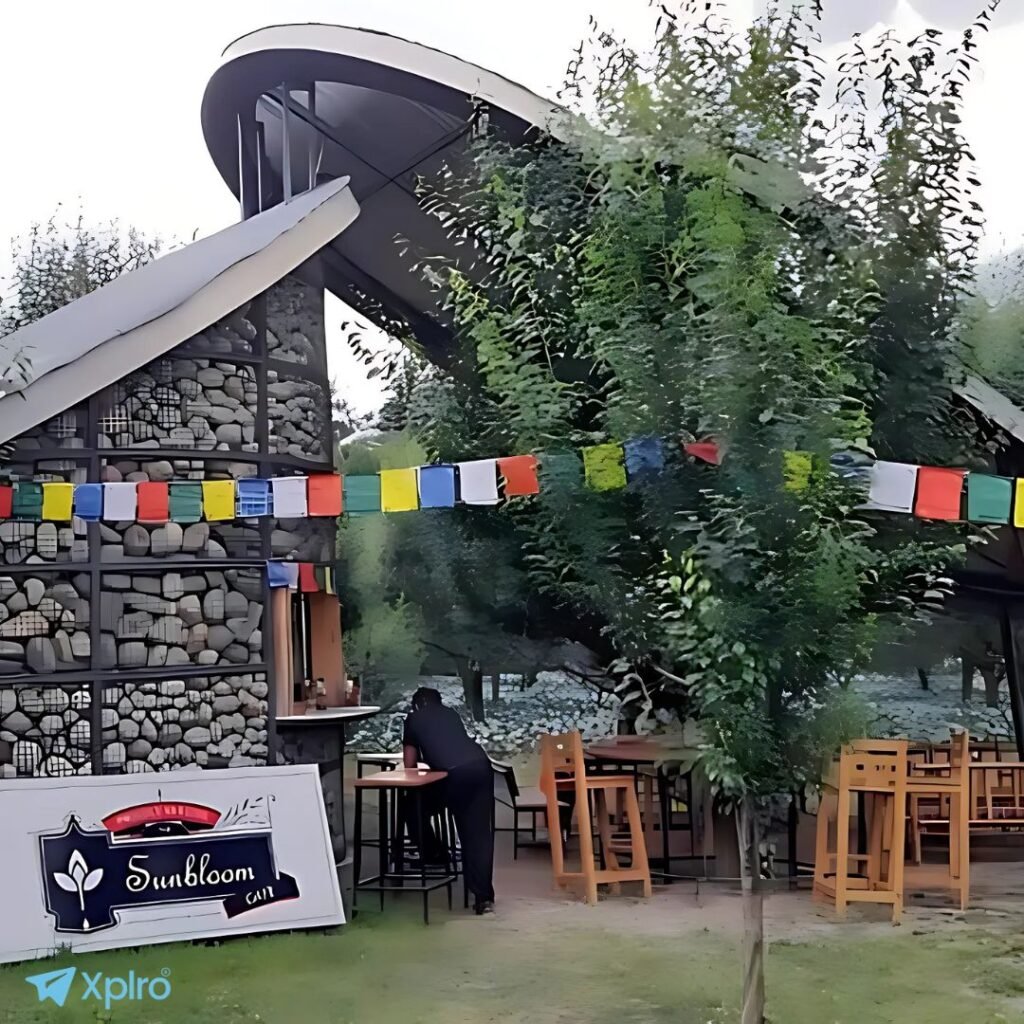 Sunbloom Café – Hidden Orchard Gem, Manali, Xplro